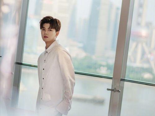 任嘉伦团队爆料视频