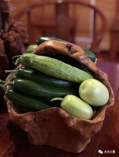 临沂网红团队吃瓜,趣味横生幕后花絮大揭秘