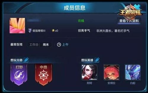 王者爆料老刘视频大全最新,老刘视频大全，揭秘游戏幕后故事